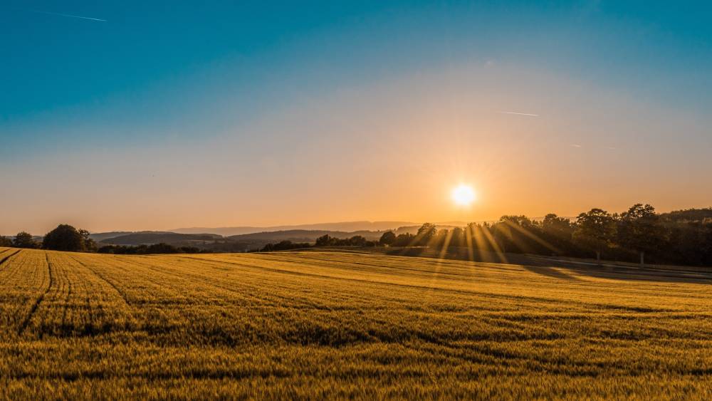 vitamín d na imunitu